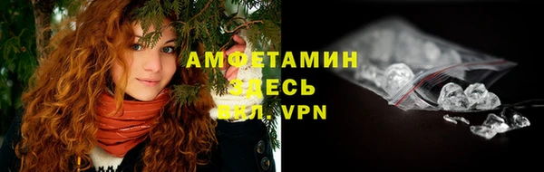 крисы Абаза