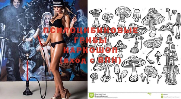 твердый Володарск