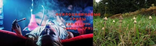 гидра Алексин